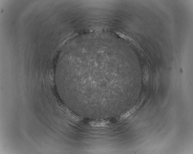 X0000072520661200608041533