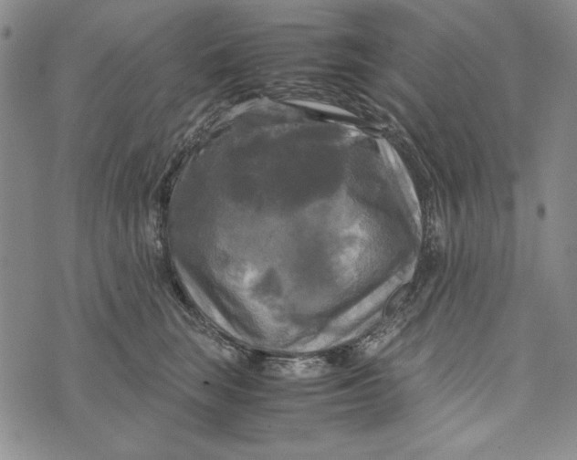 X0000072520663200608041533