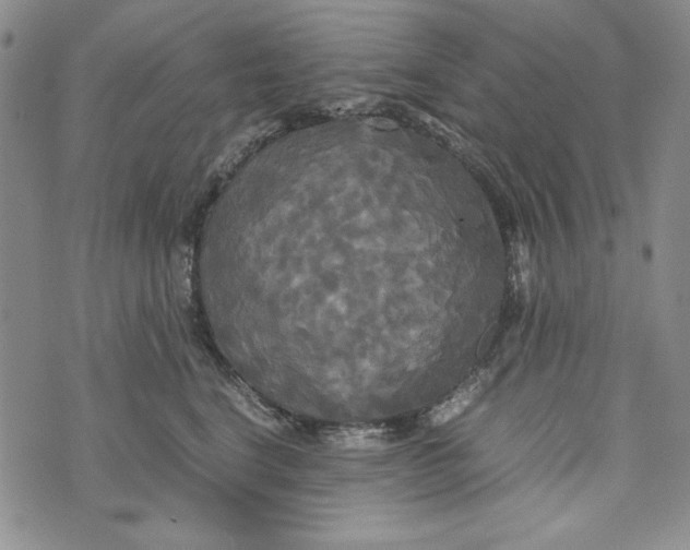 X0000072520664200608041533