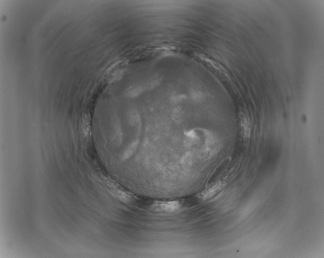 X0000072520665200608041533