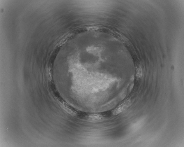 X0000072520666200608041533