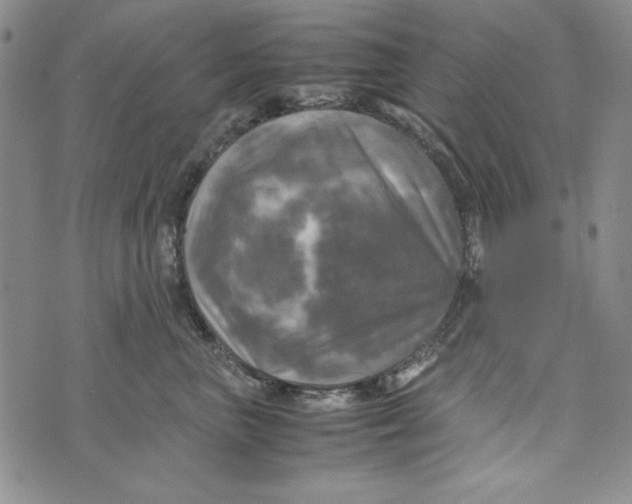 X0000072520667200608041533