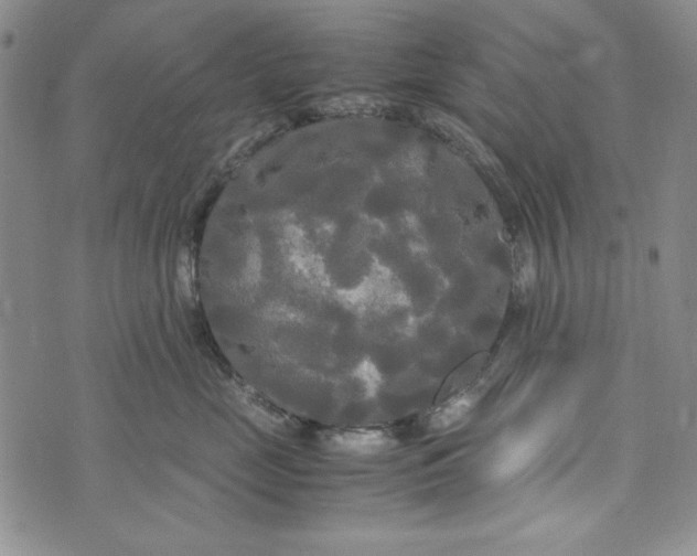 X0000072520669200608041533