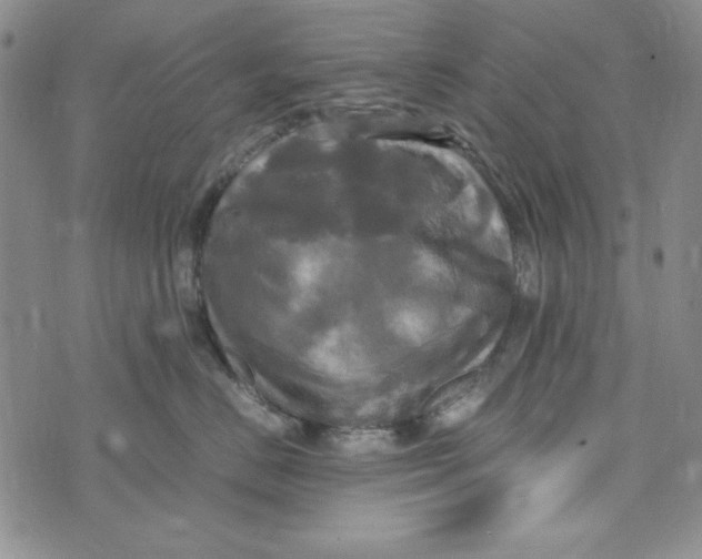 X0000072520670200608041533