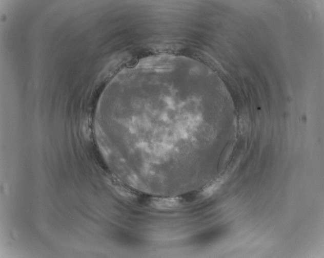 X0000072520671200608041533