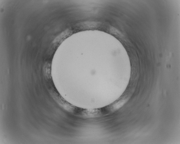 X0000072520672200608041533