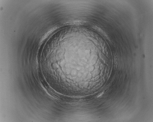 X0000072520674200608041533