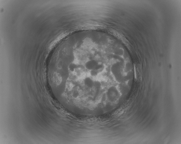 X0000072520675200608041533