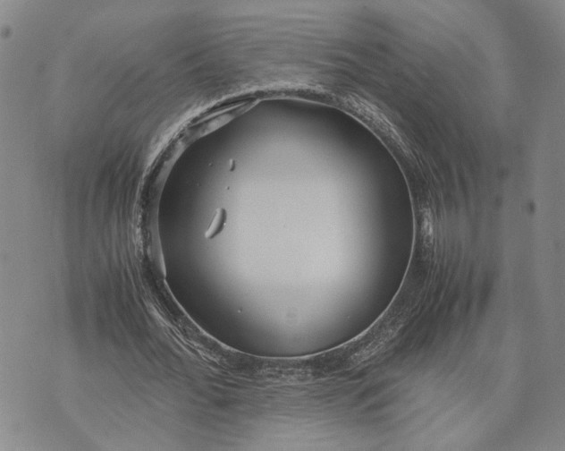 X0000072520676200608041532