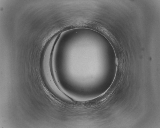 X0000072520677200608041532