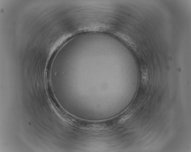 X0000072520678200608041532