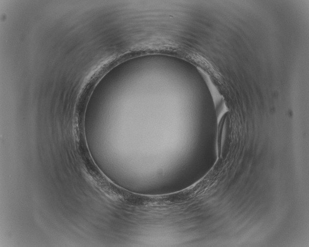 X0000072520680200608041532