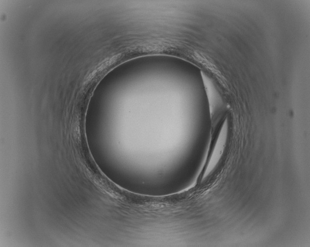 X0000072520681200608041532