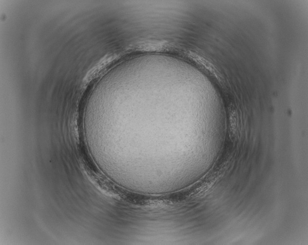 X0000072520682200608041532