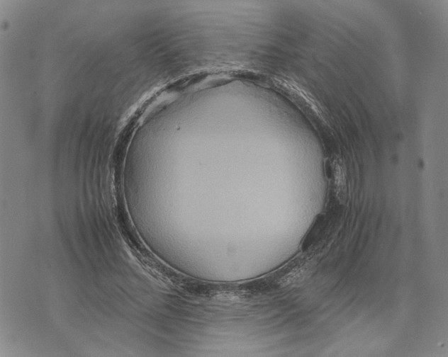 X0000072520684200608041532