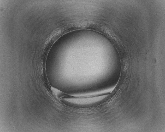 X0000072520685200608041532