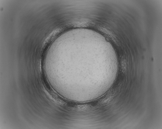 X0000072520686200608041532