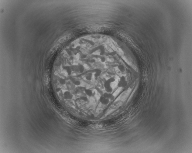 X0000072520687200608041532