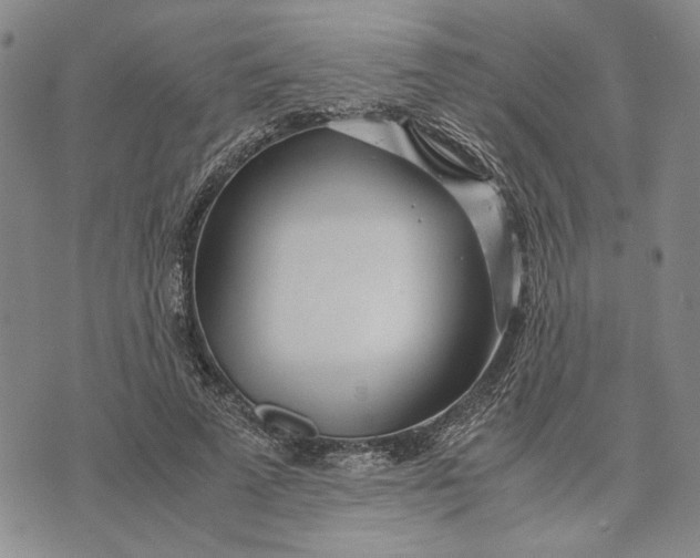 X0000072520689200608041532