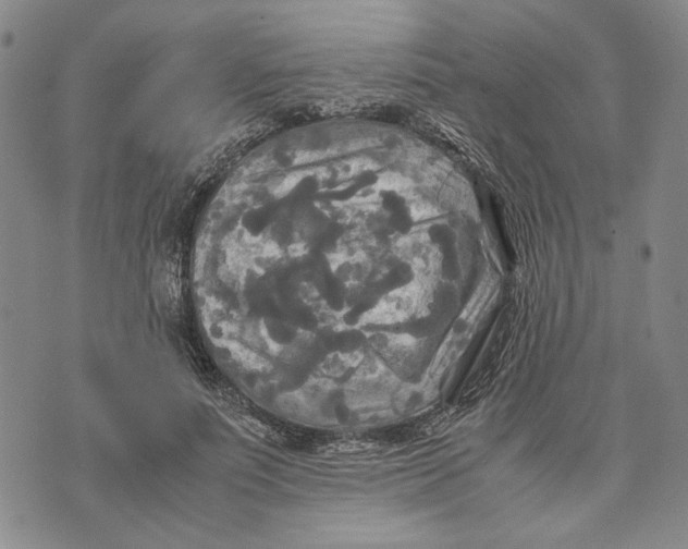 X0000072520691200608041532