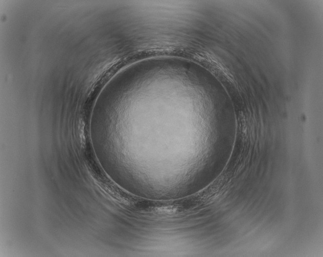 X0000072520692200608041532