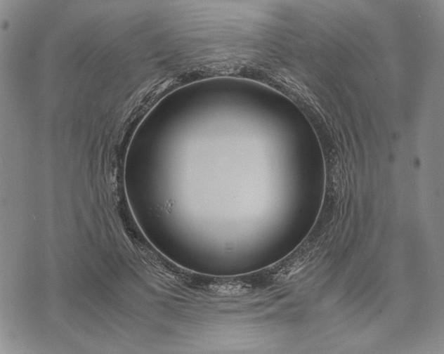 X0000072520693200608041532