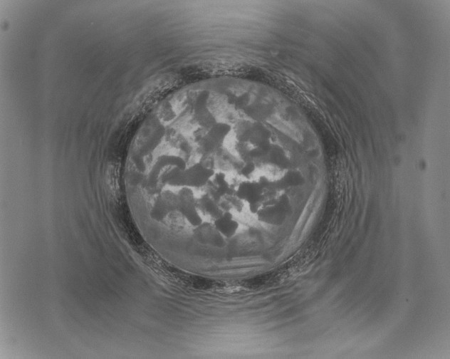 X0000072520695200608041532