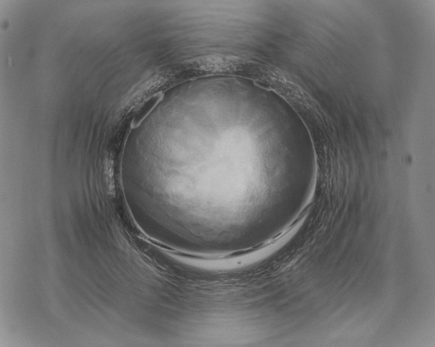 X0000072520696200608041532