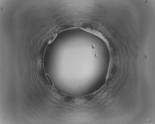 X0000072520697200608041532