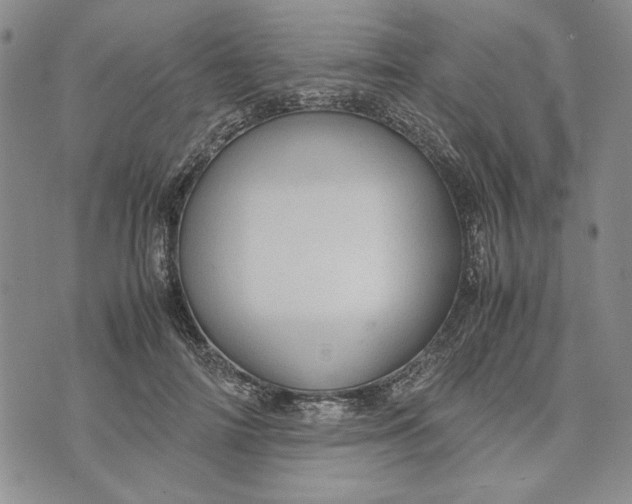 X0000072520698200608041532