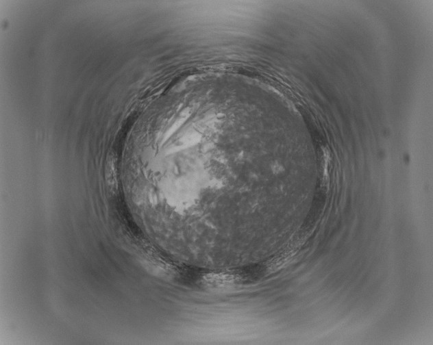 X0000072520699200608041532