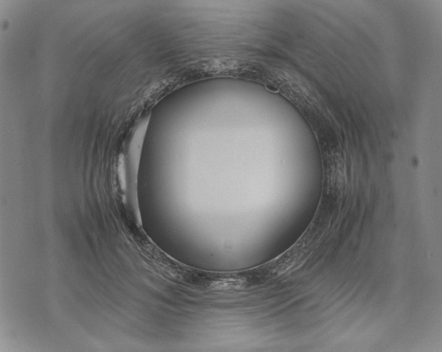 X0000072520700200608041532