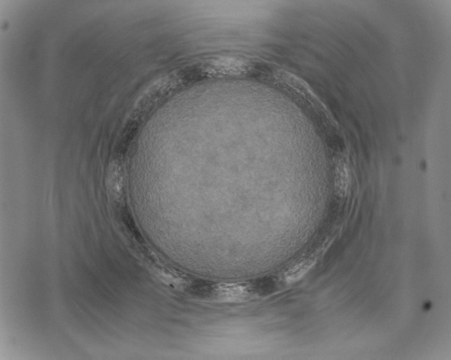 X0000072520701200608041532