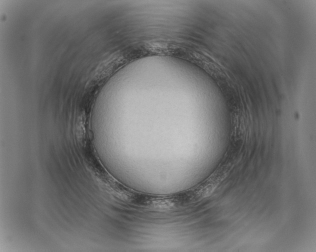 X0000072520702200608041532