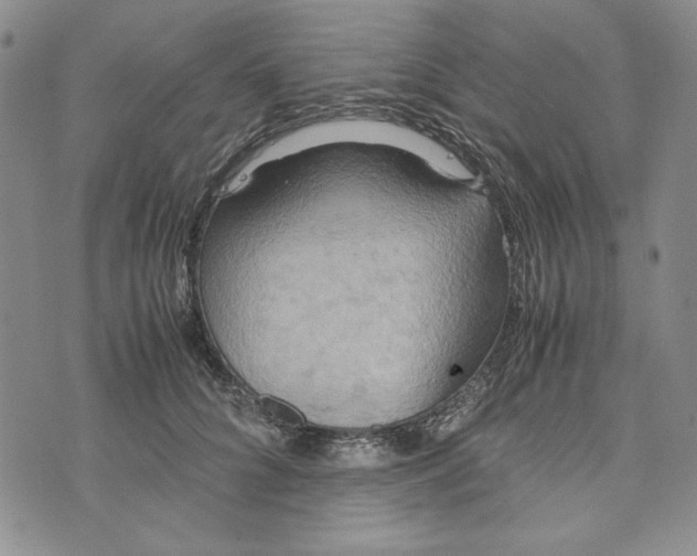 X0000072520704200608041532