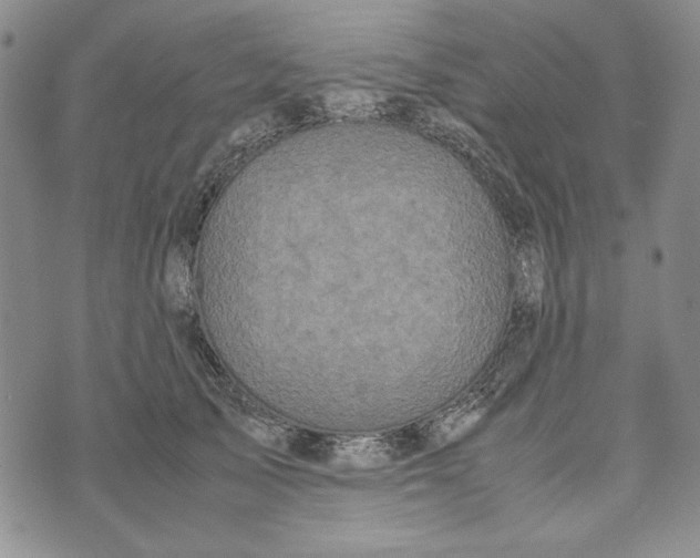 X0000072520705200608041532