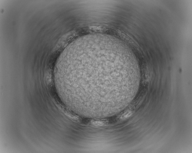 X0000072520706200608041532