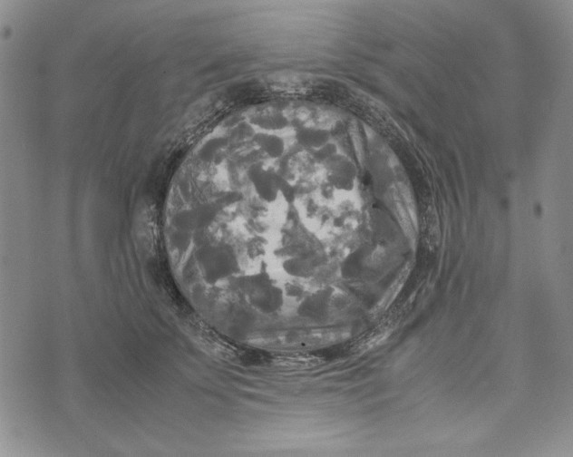 X0000072520707200608041532