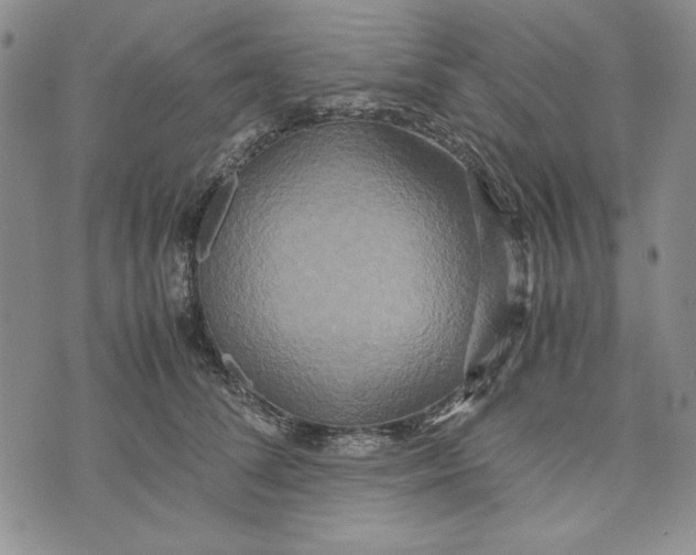 X0000072520708200608041532