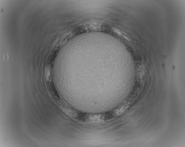 X0000072520709200608041532