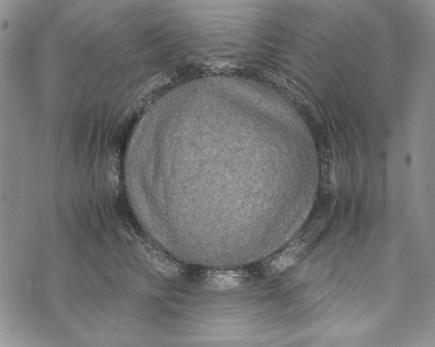 X0000072520710200608041532