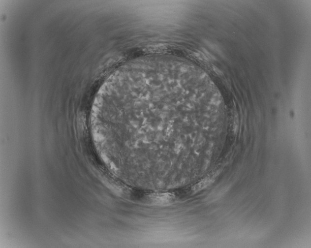 X0000072520711200608041532