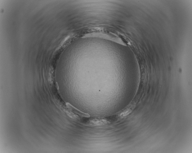 X0000072520712200608041532