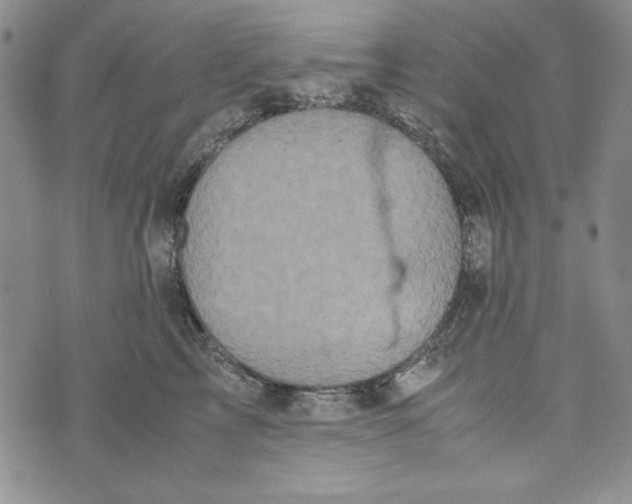 X0000072520713200608041532