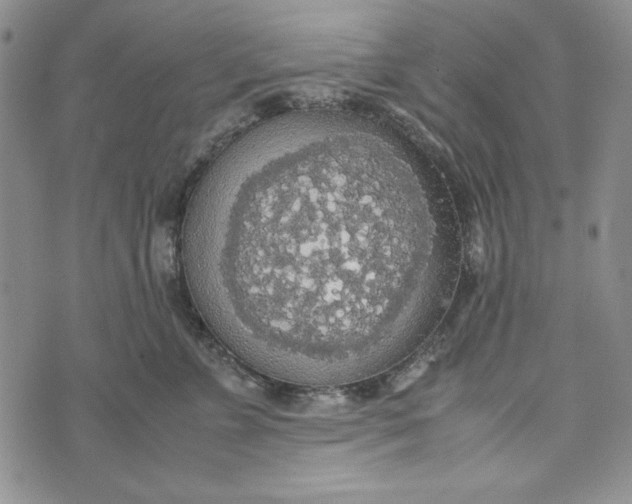 X0000072520715200608041532