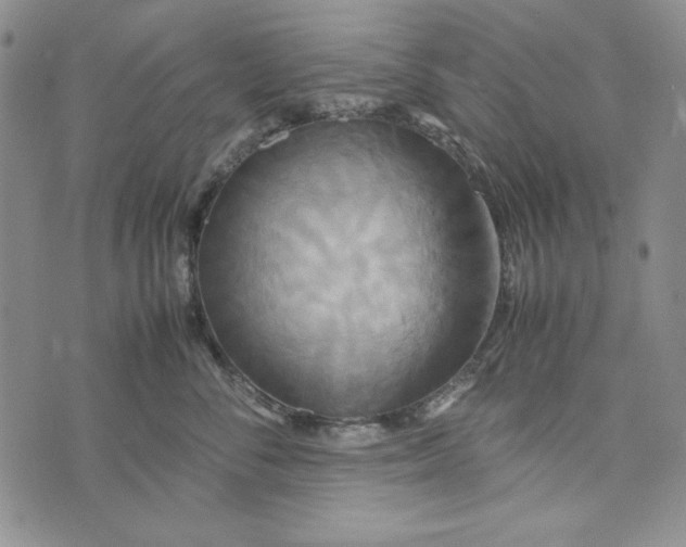 X0000072520716200608041532