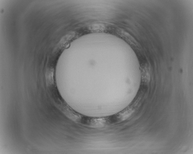 X0000072520717200608041532