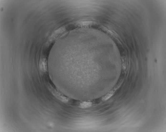 X0000072520718200608041532