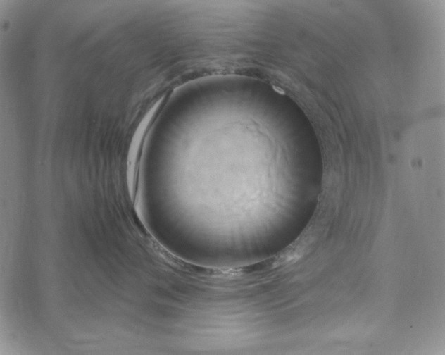 X0000072520720200608041532