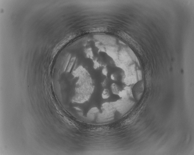 X0000072520721200608041531